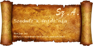 Szedmák Antónia névjegykártya
